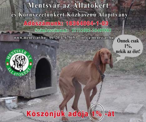 hu VEGYES VÁSÁROLNÉK lakatos, bádogos gépeket, élhajlítót, fúrógépet, gépsatut, üllőt, CO hegesztőt, műszerészesztergát, marógépet, kompresszort, invertert, kis gépeket. 0670/624-5475 KIÁRUSÍTÁS!