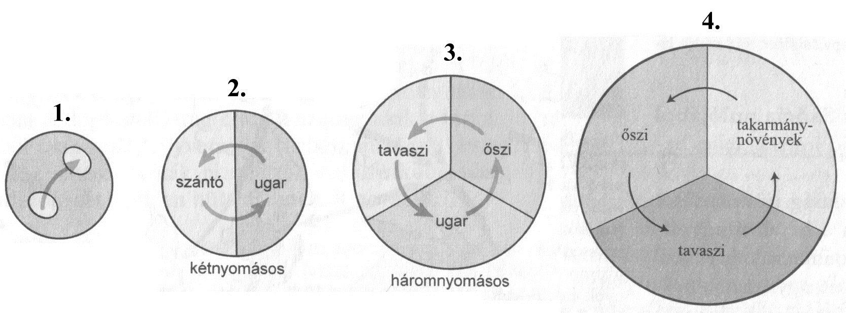 2. FELADAT A mezőgazdasági művelési módszerek történeti fejlődését mutató ábrák segítségével válaszoljon a kérdésekre! A) Mi volt az ugar funkciója?