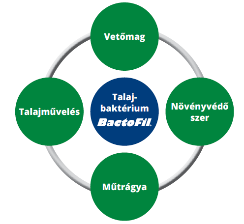 Be kell illeszteni a talajbaktériumokat
