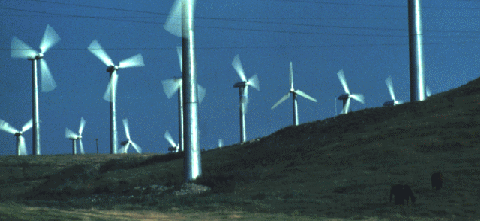 ki az emberiség élelem, növényi rost, energia szükségletét Energiamérleg? Termesztés, betakarítás, szállítás, feldolgozás, konverzió Szén-dioxid megtakarítás?