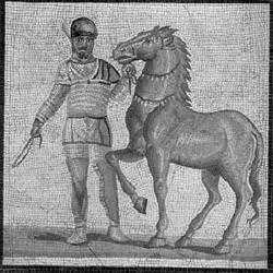 A p ozitív old alban egybef ogla lt jogosult sá gok kime rít ően (taxatíve) fe l nem sorolhatók - általán ossá gban v anna k a tu lajd on osn ak me gadva: a törvén y megsz abt a határokon belü l a
