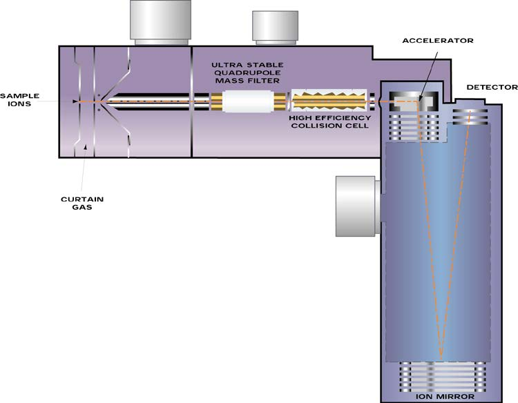 Q-TOF készülék (QSTAR) 770 L/s 250 L/s Modulator Focusing grid Accelerator column 4 anode detector Sample Ions Curtain Gas 2.