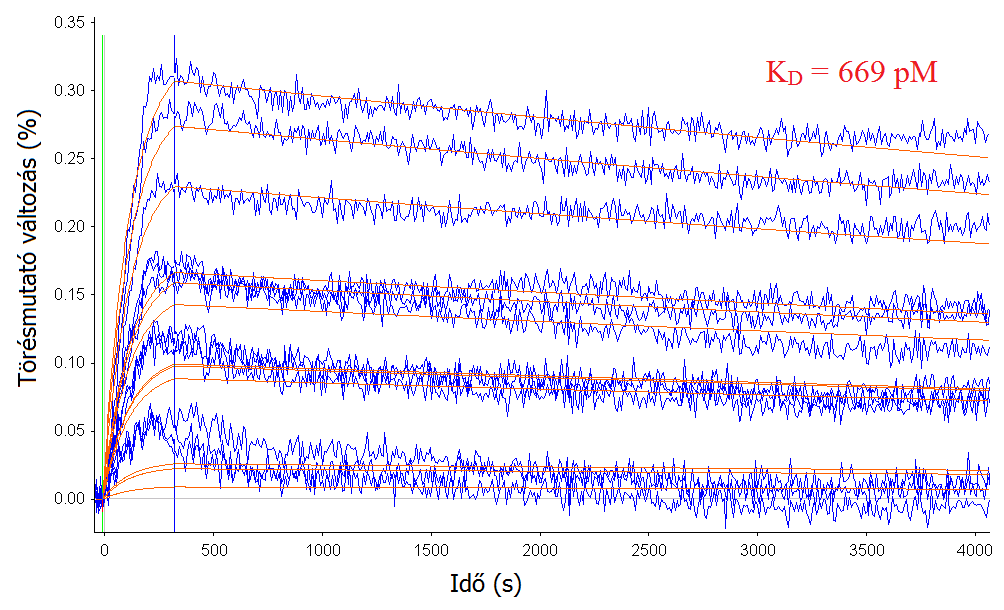 48. ábra - Disszociációs egyensúlyi állandó értékének meghatározása fordított kinetikai módszerrel a 10; 5; 2,5; 1,25 µm koncentrációjú, 18 bázis hosszú, PBS-pufferből előhibridizált formában,