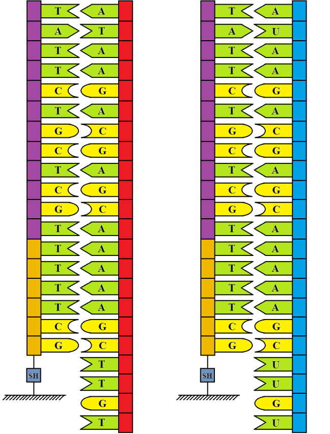 74