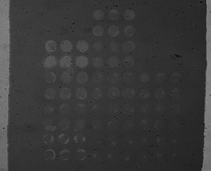 2. számú melléklet: Szenzorchip cseppentési terve SPRi-Biochip (HORIBA Genoptics, name: 1447, PN: 36000067, Date: 16/09/2013) Sensor cleaning: 15 min UV/ozone Source: Greiner 384 well plate (blocked