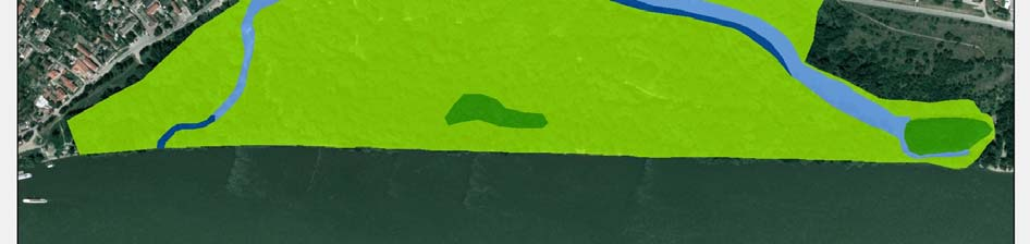 dynamiky spoločenstiev a celej lužnej krajiny. Mapovali sme podľa metodiky mapovania Katalógu biotopov Slovenska (Stanová, Valachovič 2002). Identifikovali sme tieto biotopy: Ls 1.