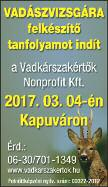 alkalmazotti viszonyba. Érd.: 06 30 210 7283 Ácsokat, tetőfedőket keresek Kapuvár és Sopron környéki munkára. Mezőgazdasági gépszerelésben jártas traktorost valamint állattenyésztőt Bérezés hetente.