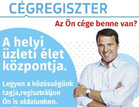 2017. február 24. 19 V a r r ó g é p j a V í t á S Ipari és háztartási Varrógépek gyors és szakszerű javítása! Használt gépek eladása. Ivánkovics Gyula Veszkény, Fő u. 141. Tel.