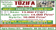 Jogszabályokba ütköző, etikailag