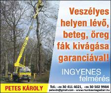 00 óra Szerkesztőség, hirdetésfelvétel: 9300