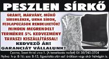 A veszprémi Diákolimpián való szereplés fogja eldönteni, hogy az 5 Castrumos junior versenyző közül hányan indulhatnak az idei dániai