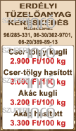 Kisteher, személy és utánfutó napi és tartós bérlet megegyezés szerint. 06-30/850-9491, 06-30/450-9268 Gépi földmunka, pince és alapásás, helyszíni betonkeverés. Hívjon, megegyezünk!