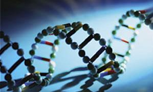 Genom analízis Rapid Next Generation Sequencing Technology Life Technologies Ion
