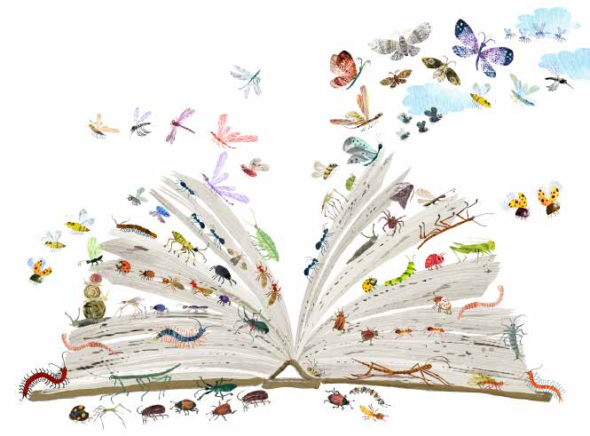 Mindenféle bogár Ki lakik ebben a könyvben? Rengeteg repülő, csípő, csúszó-mászó bogár.