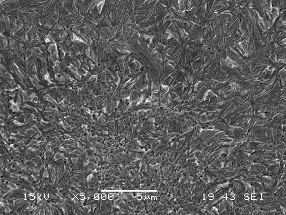 , Effect of Solubility and Nucleating Duality of N,N'-Dicyclohexyl-2,6-