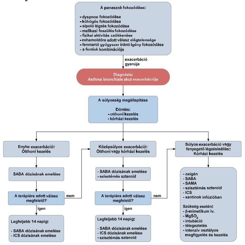 3.6. Az asthma bronchiale akut exacerbációja