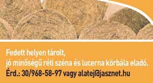 Egyszer hasznáatos orvosi eszközöket gyártó gyöngyösi gyártóegységünkbe keresünk munkatársakat három műszakos munkarendben, az aábbi pozícióra: SZERELÉK-ÖSSZEÁLLÍTÓ Amit ajánunk: Könnyű fizikai munka