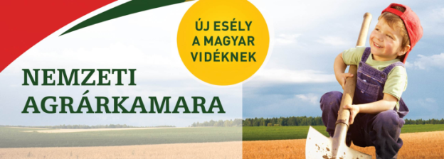 A MEGVALÓSÍTÁS ESZKÖZEI 1. GYAKORLATORIENTÁLT TAGI SZOLGÁLTATÁSOK CÉL: a tagok versenyképességének növelése 2.