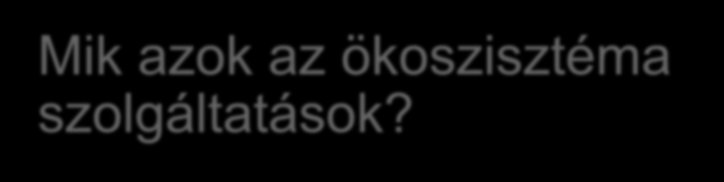 Mik azok az ökoszisztéma szolgáltatások?