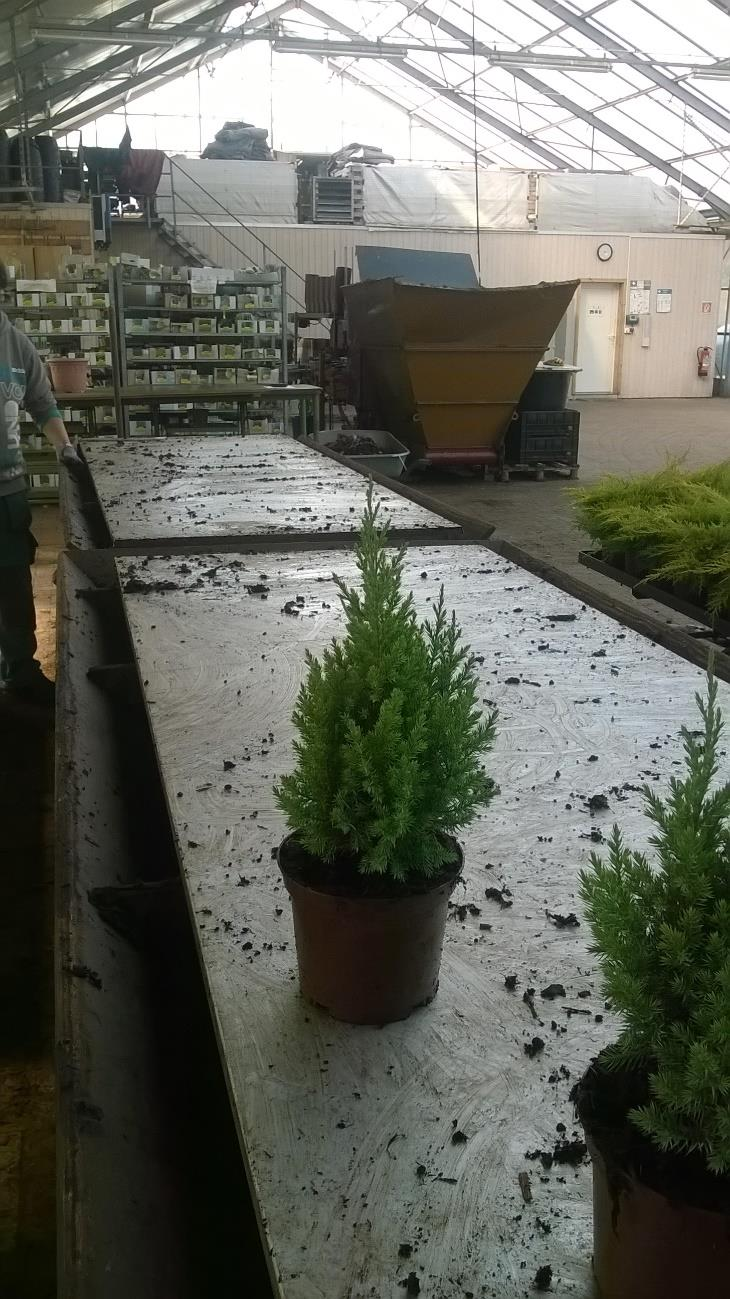 20.nap. 2015.10.16 Ma vissza tértünk a rendes jól megszokott kerékvágásba. Habár ma csak fél1ig voltunk munkába. Ilyenkor gyorsabban elmegy az idő.