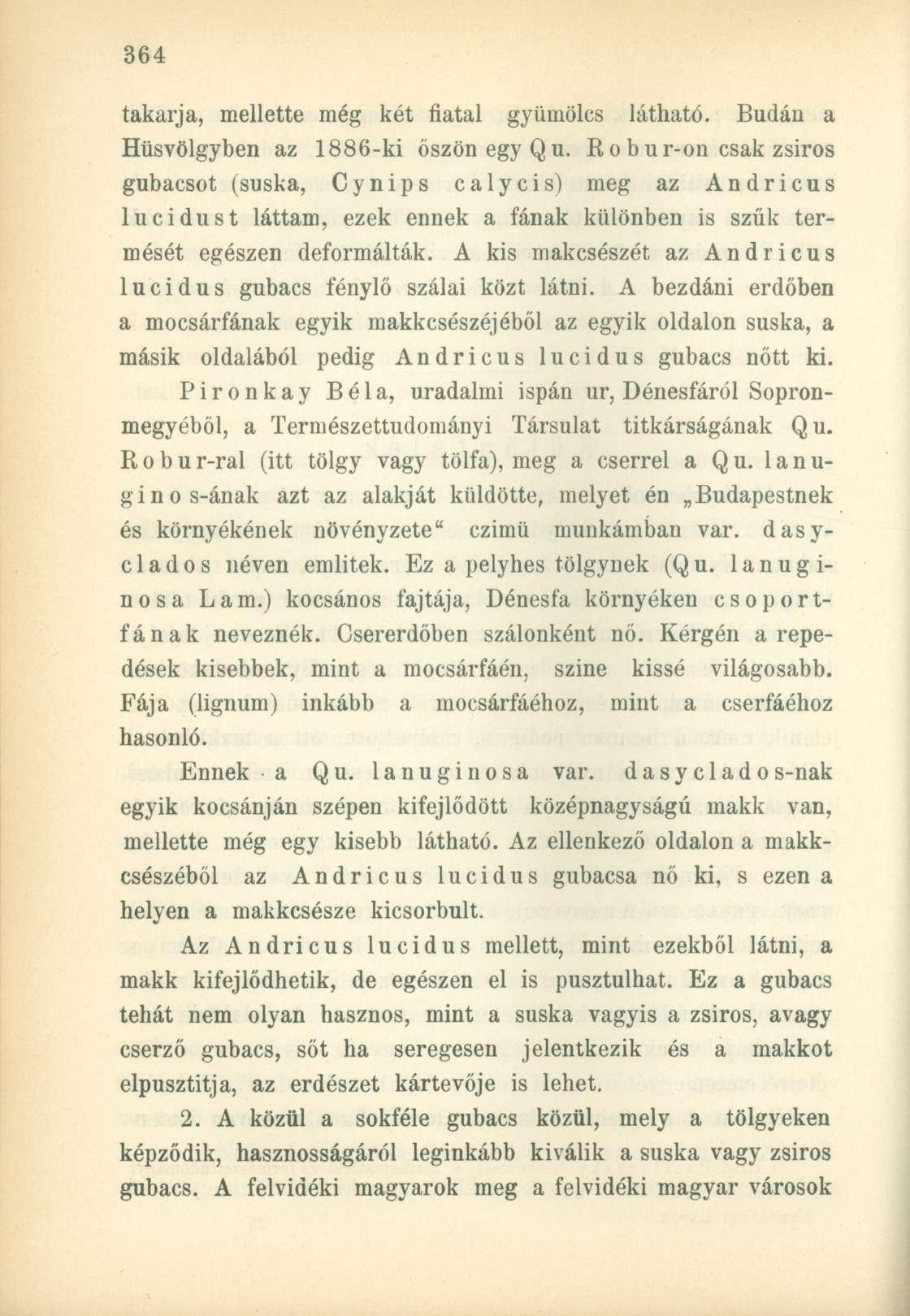 takarja, mellette még két fiatal gyümölcs látható. Budán a Hüsvölgyben az 1886-ki őszön egy Qu.