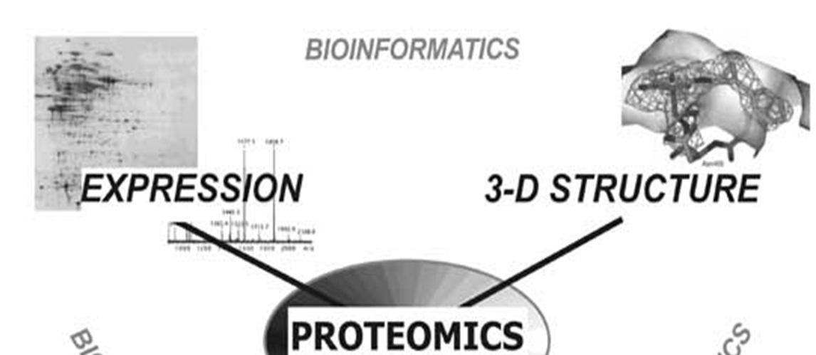 Mivel foglalkozik a proteomika?