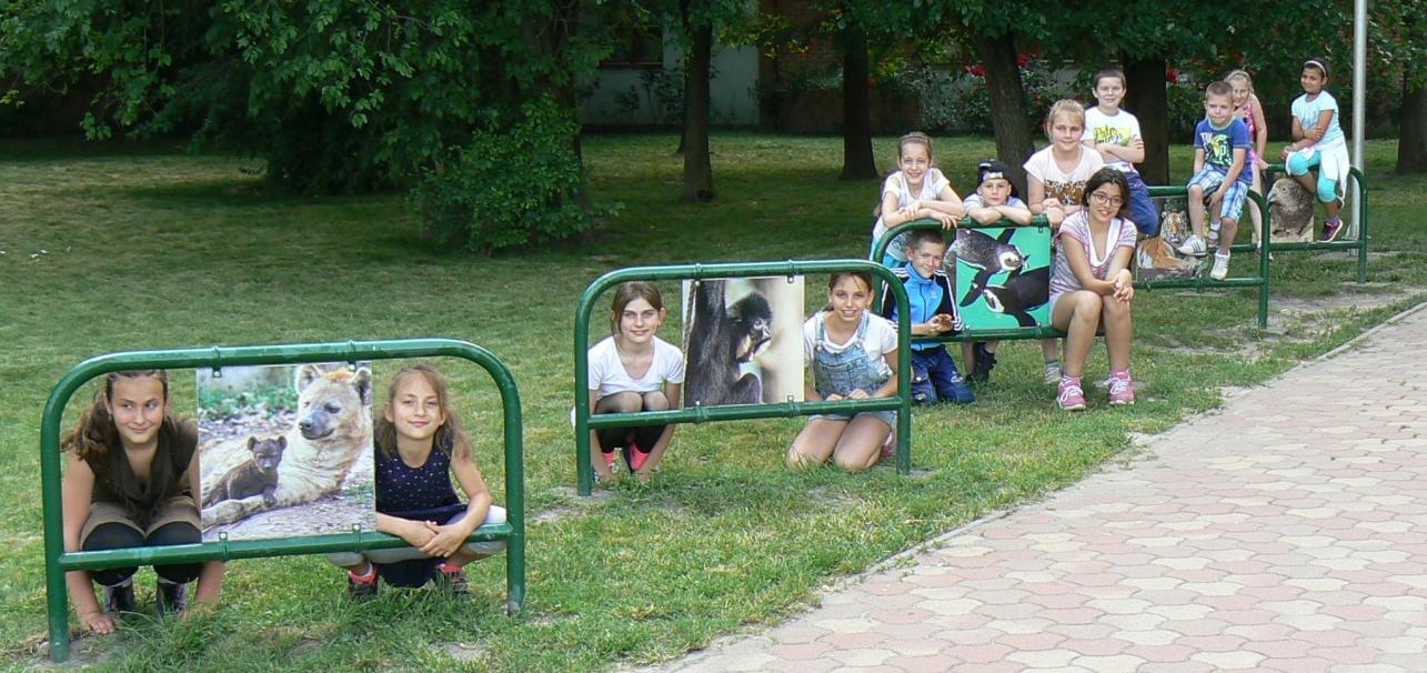 Június 9-én a Szegedi Vadasparkban jártunk. Ez alkalommal, kettő busszal utaztunk Szegedre. Somogyvári Gyula, Somogyvári Ivett 4.