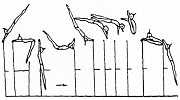 Elements with Long Axis Turns Underswing with ½ turn (180 ) to a clear support on the same bar without/with support of the feet Giant swing with 1/2 turn (180 ) and flight to handstand on LB Giant