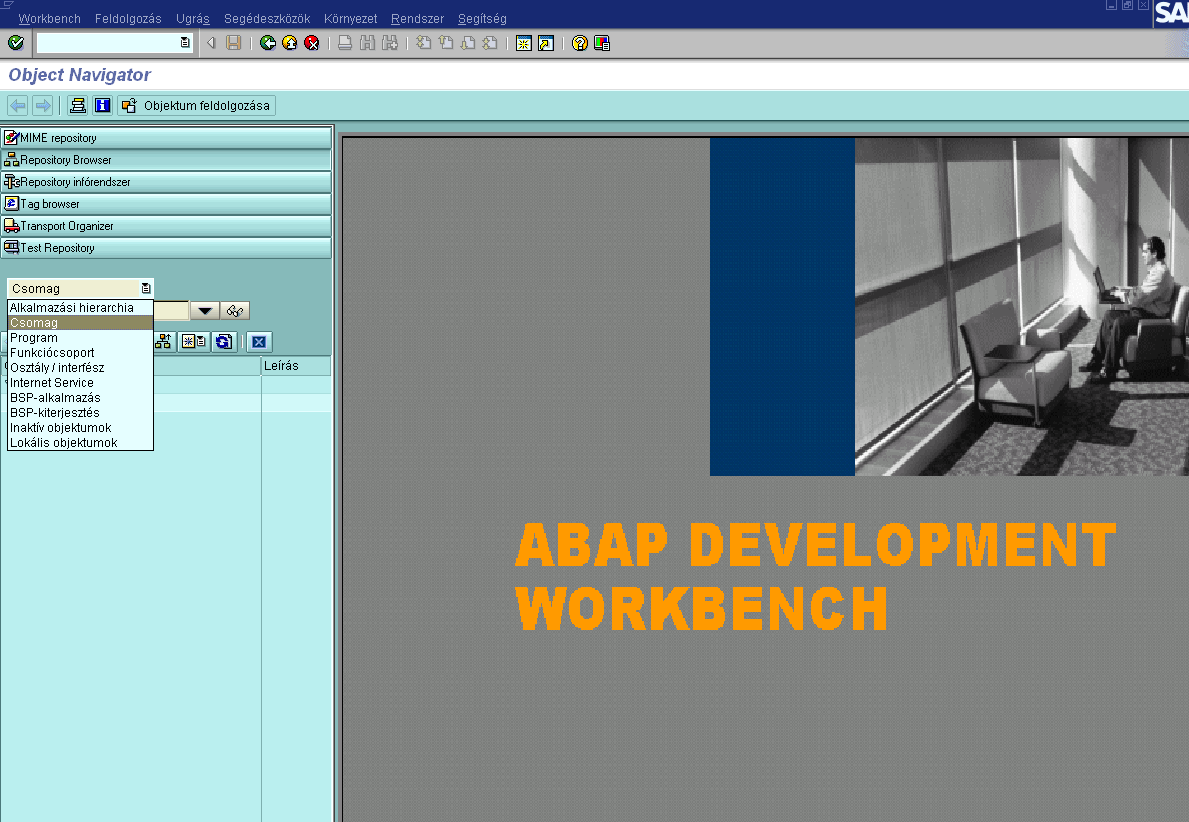 ABAP fejlesztıi