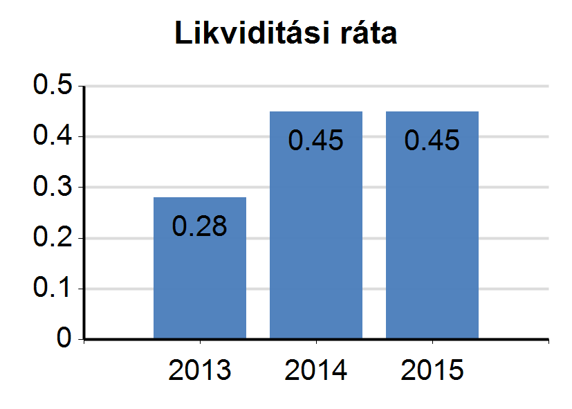 14. Részletes pénzügyi mutatók értékelése Gyenge Gyenge