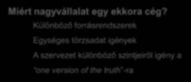 környezet és vállalat? Miért nagyvállalat egy ekkora cég?