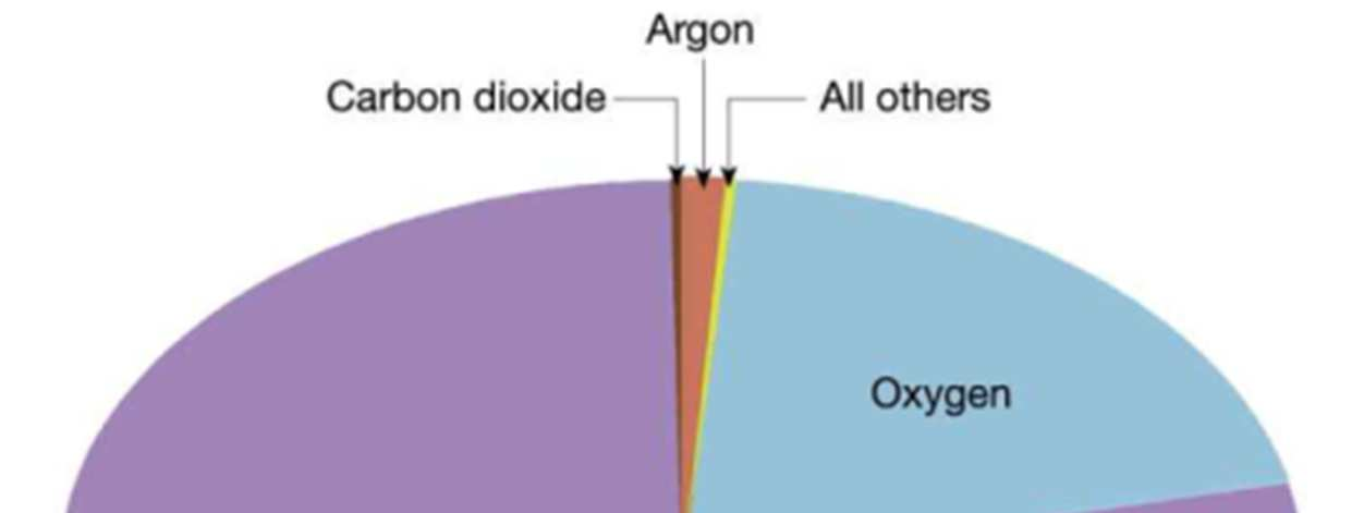 Oxigén A légkör oxigén tartalma fototróf szervezetekből származik.
