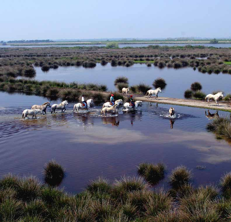 Po Delta Park Riviera Biosfeerreservaten - Mab Unesco Het recent met het keurmerk Man and Biosphere (MAB) van UNESCO onderscheiden Podeltapark is een van de meest interessante natuurgebieden van