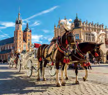 25 PLN/fő Fakultatív vacsora/ebéd: kb. 40-45 PLN/fő/alk. 39.0 Ft/fő ben.