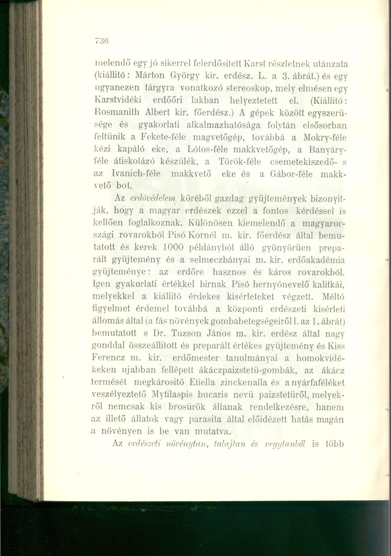 736 melendő egy jó sikerrel felerdősitett Karst részletnek utánzata (kiállitó: Márton György kir. erdész. L. a 3. ábrát.
