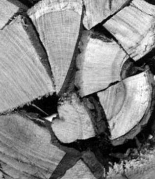 Megjegyzem, hogy véleményem szerint a természetközeli (inkább természetszerû) és ember által nem zavart erdô fogalma más. 2.6.