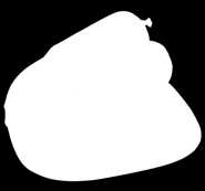 Coop tengeri haltörzs
