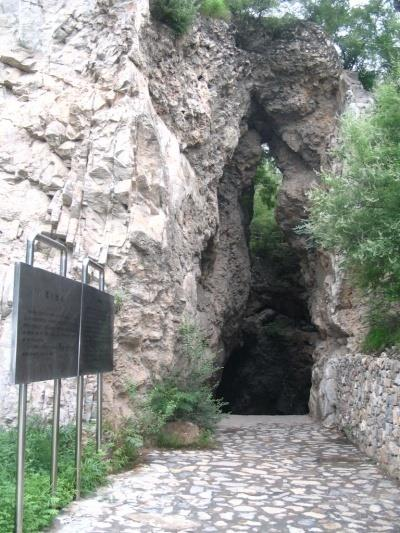 St. Gallen közelében / Svájc / 100 000 BP /