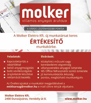 megtervezése, egyéb,a munkakörhöz kapcsolódó feladatokellátása Elvárások: legalábbközépfokúszámviteli, pénzügyi végzettség, mérlegképes könyvelői képesítés, magas szintű számítástechnikai ismeretek,
