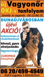 A dokumentumokat magyar nyelven kell benyújtani. Amunkakör 2017. április 1. napjától tölthető be.