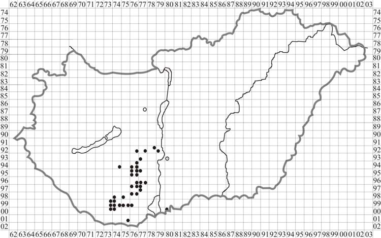 Flora Pannonica 3: 69-77 (2005) 75 2. ábra. A Cirsium boujartii (PILL. et MITTERP.) SCHULTZ BIP. fészekpikkely sorozata (OLÁH Emőke eredeti rajzai) Fig. 2. Involucral bracts of Cirsium boujartii (PILL.