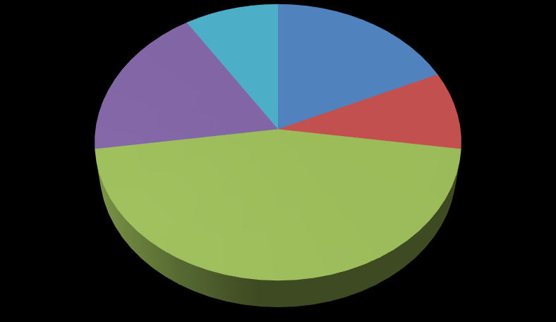 Nemzetközi 18% 9% 18% 9% Atlétika Judo Sí 46% Tenisz Úszás Összesen 8% 5% 8% 13% 10% 5% 2% 8% 3% 3% 3%3%