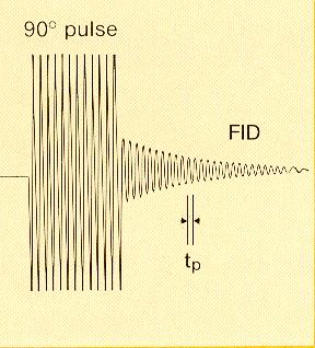 A spinrendszer szabad válasza (FID) a 90 -os impulzus után FID 90 o pulse Homogén mágneses tér a valóságban a FID-hez