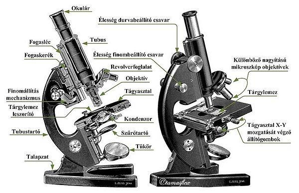 fénymikroszkóp