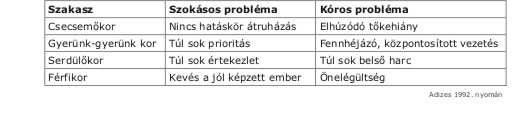 Vállalkozások életciklus elmélete Forrás: http://www.veniens.