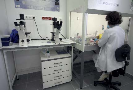 szemkenőcs, a gyomorsavmegkötő Antagel tabletta és szuszpenzió, a Melfen 200 400 mg ibuprofen-tabletta, a Diapulmon inhalációs csepp, a Fomarex és a Plastubol spray, a kozmetikai terméknek számító