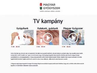 -nél dolgozik, az utóbbi 20 évben vezető beosztásban. Jelenleg a társaság kutatási igazgatóhelyettese. Számos szakmai szervezetben is aktív munkát végez, a MAGYOSZ Iparjogvédelmi Bizottságának elnöke.