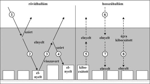 4. Az energia- és vízegyenleg változásai természetes és városi területeken Természetes felszínek energiaegyenlege Q* = Q H + Q E + Q G Az energiaegyenleg tényezt nyezőinek napi menete egy öntözött tt