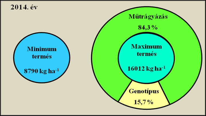 legkisebb a három vizsgált év közül, 15,7 %-ban befolyásolta a terméstöbblet alakulását. Ez 2514 kg ha -1 termésnek felelt meg (19. ábra).
