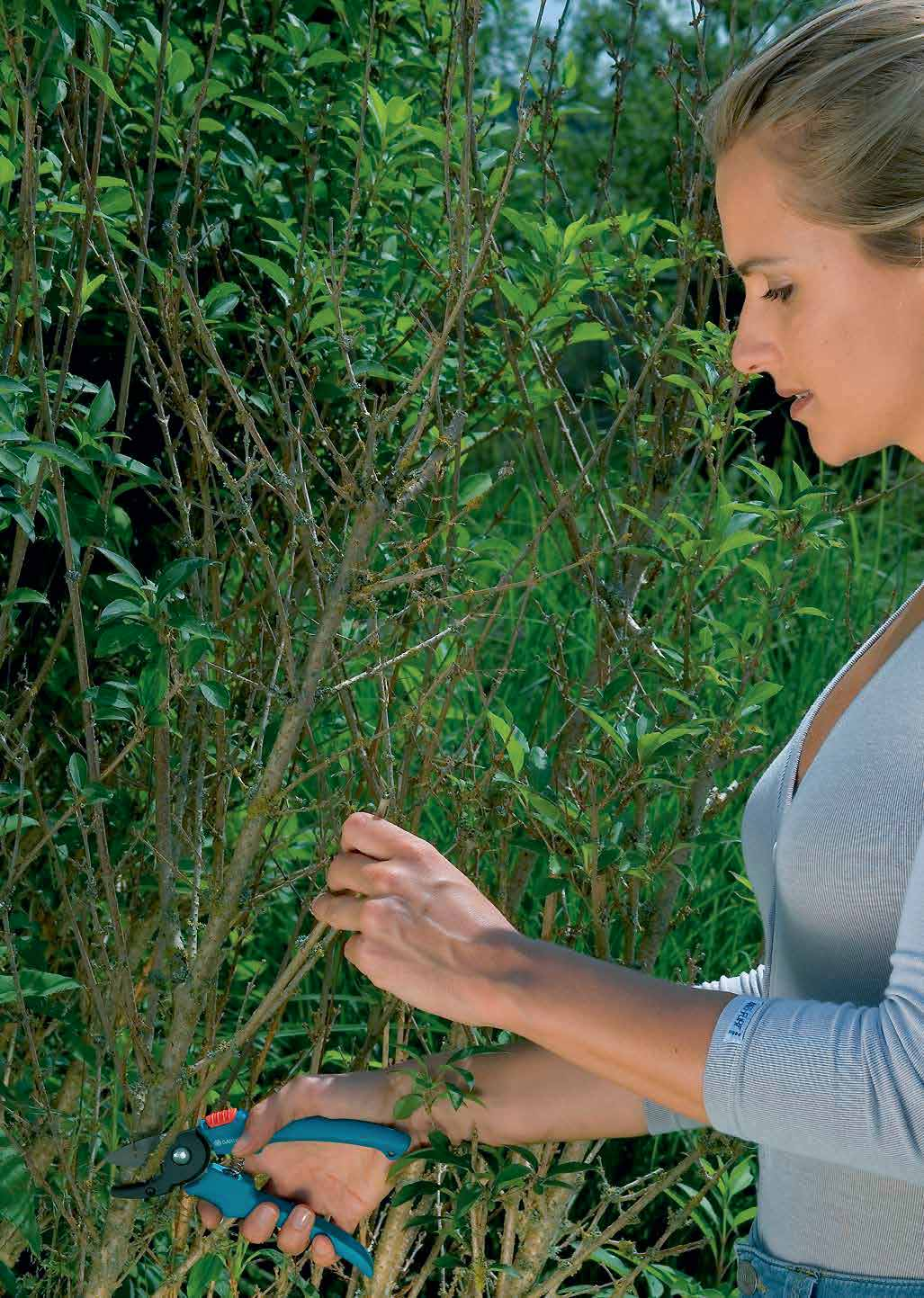 GARDENA Metszőollók Kiváló metszés Ezek a